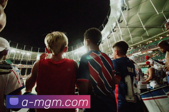 多媒体互动体验