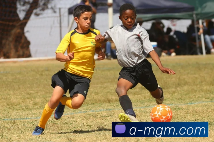 美高梅官网APP 高清赛事图